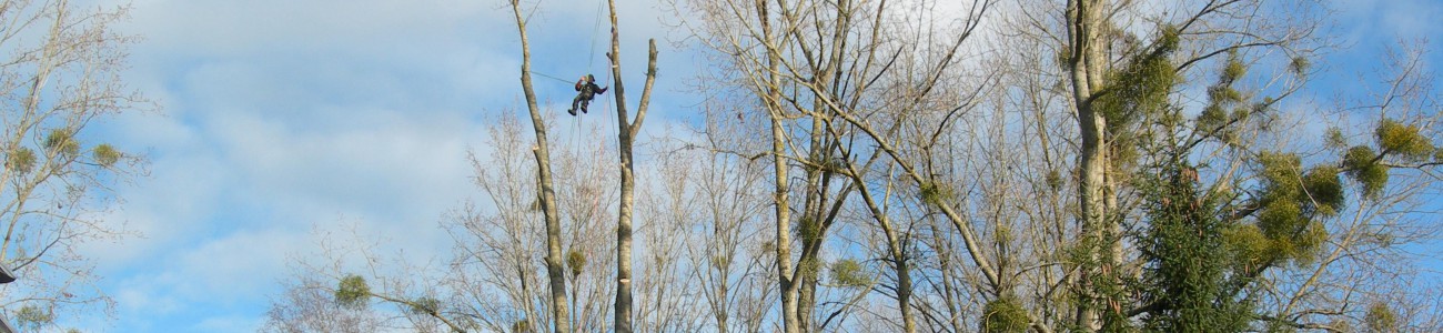 élagage & environnement